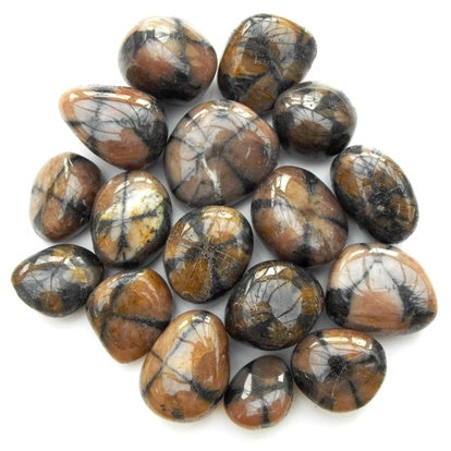 Chiastolite Tumbled Stones